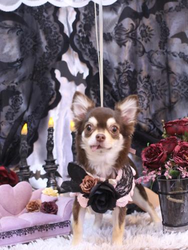 20231021ルアちゃん